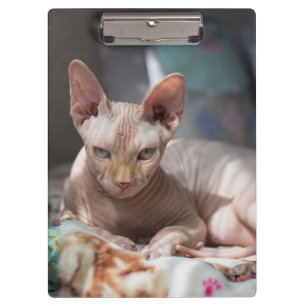 Niedliches Cat Lounges ohne Pelz Klemmbrett