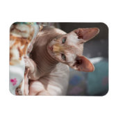 Niedliches Cat Lounges ohne Pelz Magnet (Horizontal)