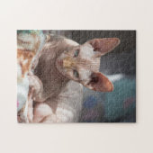 Niedliches Cat Lounges ohne Pelz Puzzle (Horizontal)