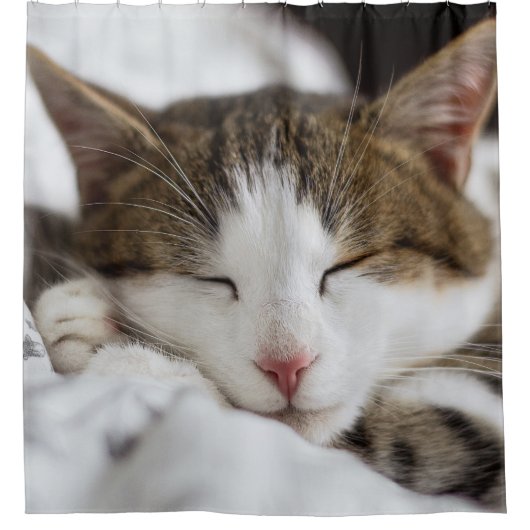 Niedliches Cat-Nickerchen Duschvorhang (Vorderseite)