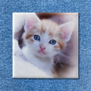 Niedliches Cat Square Foto Button