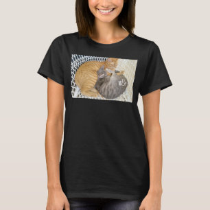 Niedliches Cat-Zeug für Katzen Mädchen Frauen Jung T-Shirt