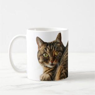 Niedliches Chat-Design Kaffeetasse
