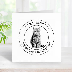 Niedliches Chat Pet Foto Runde Gummistempel