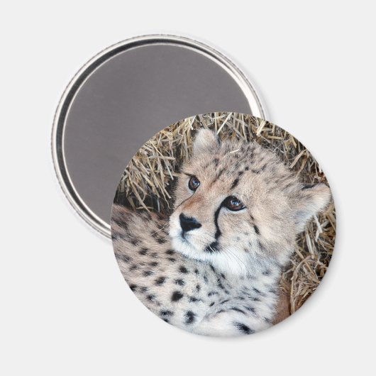 Niedliches Cheetah Cub Foto Magnet (Vorderseite/Rückseite)