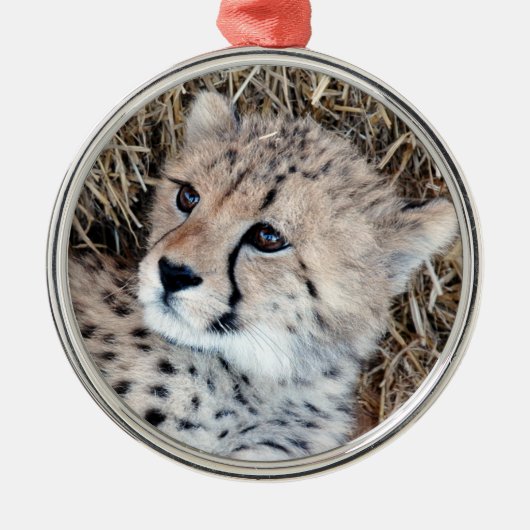 Niedliches Cheetah-CUB-Foto Silbernes Ornament (Vorne)