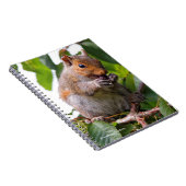 Niedliches Cherry Picking Eastern Gray Eichhörnche Notizblock (Rechte Seite)