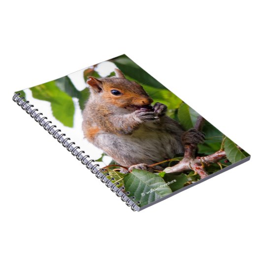 Niedliches Cherry Picking Eastern Gray Eichhörnche Notizblock (Rechte Seite)