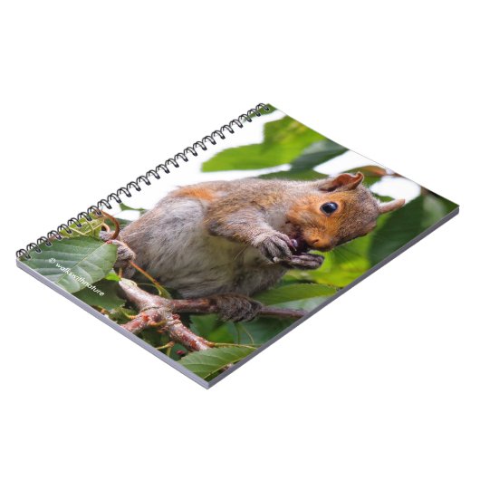 Niedliches Cherry Picking Eastern Gray Eichhörnche Notizblock (Linke Seite)