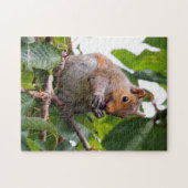 Niedliches Cherry Picking Eastern Gray Eichhörnche Puzzle (Horizontal)