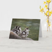 Niedliches Chicks Naturschutzgebiet Foto Karte (Gelbe Blume)
