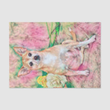 Niedliches Chihuahua Art Pink Green Dog Portrait