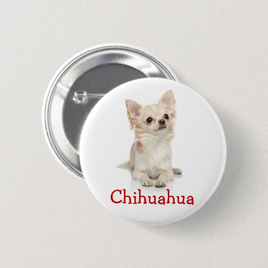 Niedliches Chihuahua Button-Button Button (Vorne & Hinten)