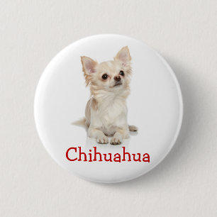 Niedliches Chihuahua Button-Button Button