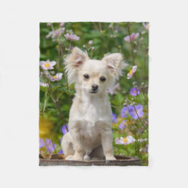 Niedliches Chihuahua Dog Welpe Foto - Komfort Fleecedecke