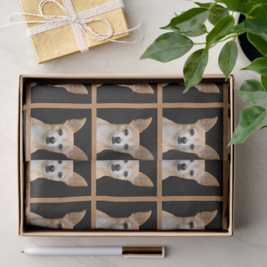 Niedliches Chihuahua-Hundeschlittenmuster Seidenpapier (Geschenk)