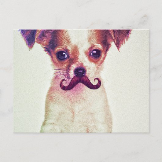 Niedliches Chihuahua mit Lila Funny Mustache Postkarte (Vorderseite)