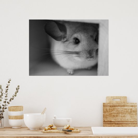 Niedliches Chinchilla Poster (Küche)