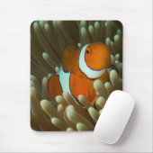 Niedliches Clownfish Great Barrier Reef Mousepad (Mit Mouse)