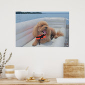 Niedliches Cockapoo-Hundfoto mit Lebensbreite Poster (Küche)