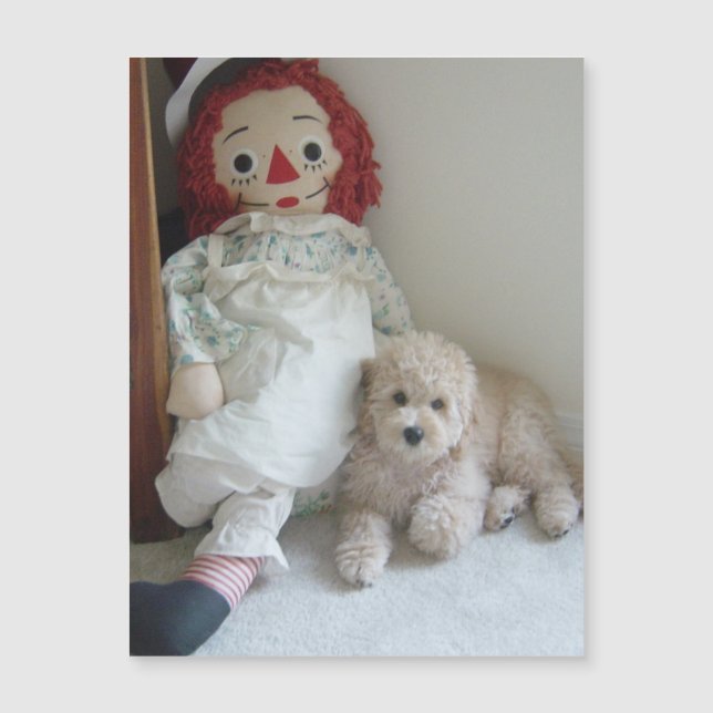 Niedliches Cockapoo Puppy Dog & Rag Doll Foto Magnetkarte (Vorderseite)