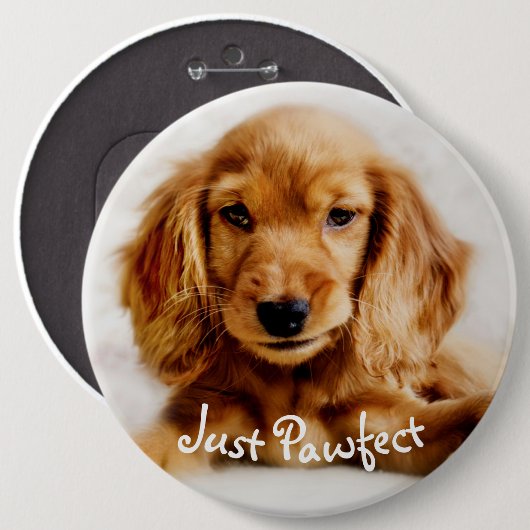 Niedliches Cockerspaniel-HundeAbzeichen/-Button Button (Vorne & Hinten)