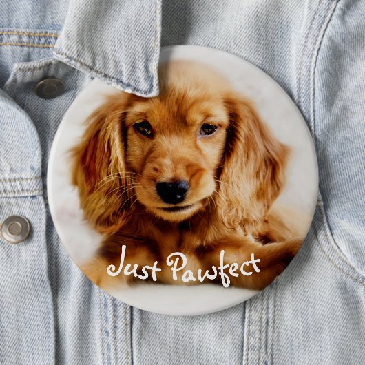 Niedliches Cockerspaniel-HundeAbzeichen/-Button Button (Beispiel)