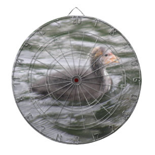 Niedliches Coot Chick auf Choppy Waters Dart Board Dartscheibe