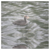 Niedliches Coot Chick auf Choppy Waters Gemustert  Stoff (Nahaufnahme)