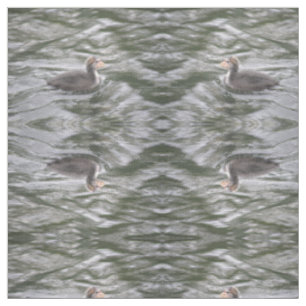 Niedliches Coot Chick auf Choppy Waters Gemustert Stoff