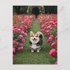 Niedliches Corgi bei Rose Postkarte