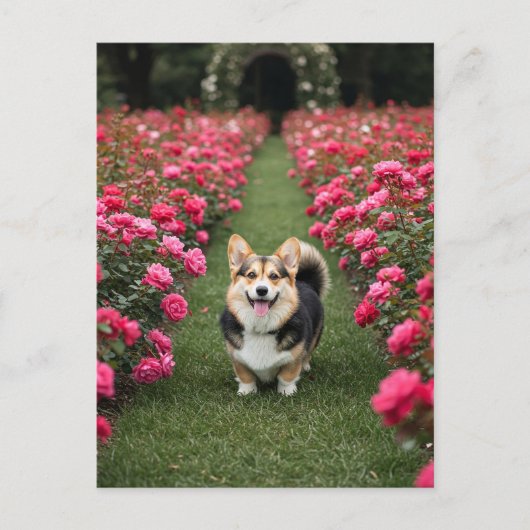 Niedliches Corgi bei Rose Postkarte (Vorderseite)