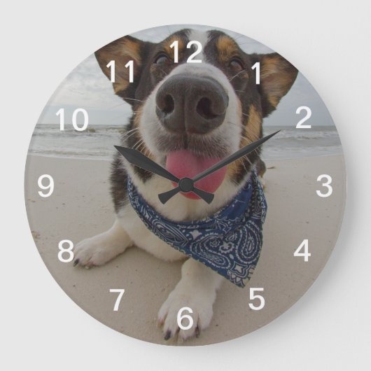 Niedliches Corgi mit Ausblenden der Zunge Große Wanduhr (Vorderseite)