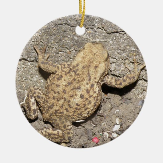 Niedliches Crawling Toad Custom Geburtstag Keramik Ornament (Vorne)