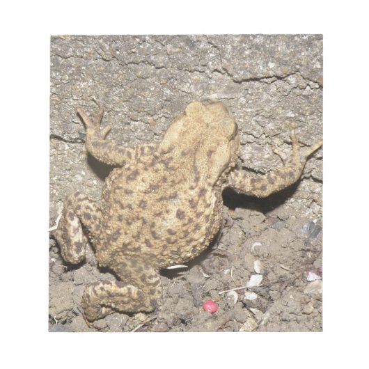 Niedliches Crawling Toad Notepad Notizblock (Vorderseite)