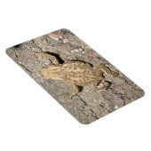 Niedliches Crawling Toad Premium Magnet (Rechte Seite)
