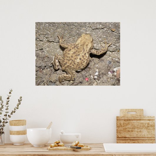 Niedliches Crawling Toad Print Poster (Küche)