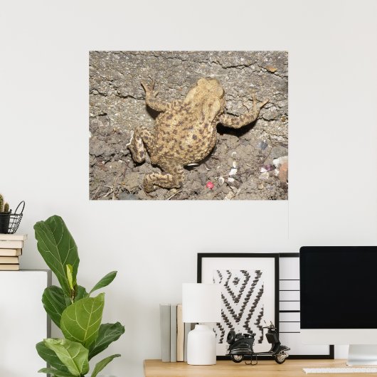 Niedliches Crawling Toad Print Poster (Heimbüro)