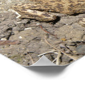 Niedliches Crawling Toad Print Poster (Ecke)