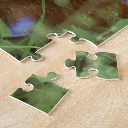 Niedliches cuddly Ingwermeerschweinchen draußen Puzzle (Seite)