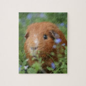 Niedliches cuddly Ingwermeerschweinchen draußen Puzzle (Vertikal)
