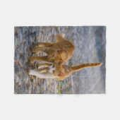 Niedliches Cudly Cat Kittens Friends Stony Path Fo Fleecedecke (Vorderseite (Horizontal))