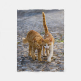 Niedliches Cudly Cat Kittens Friends Stony Path Fo Fleecedecke
