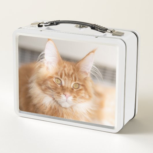 Niedliches Curry Name Cat Foto Metall Brotdose (Rückseite)