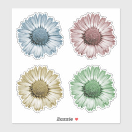 Niedliches Daisy Blume Heads Set Vier Farbaufklebe Aufkleber