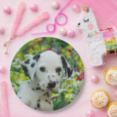 Niedliches Dalmatiner-Hundeniedliches Pappteller (Party)