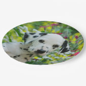 Niedliches Dalmatiner-Hundeniedliches Pappteller (Schrägansicht)