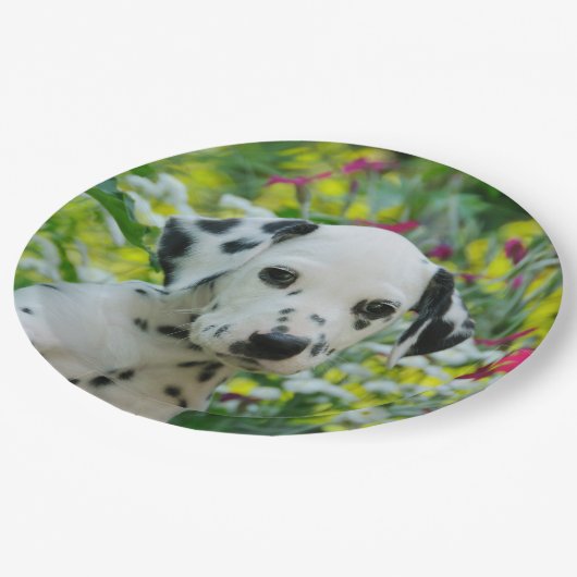 Niedliches Dalmatiner-Hundeniedliches Pappteller (Schrägansicht)