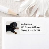 Niedliches Daschund-Mailing-Label (Insitu)