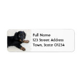 Niedliches Daschund-Mailing-Label (Vorne)